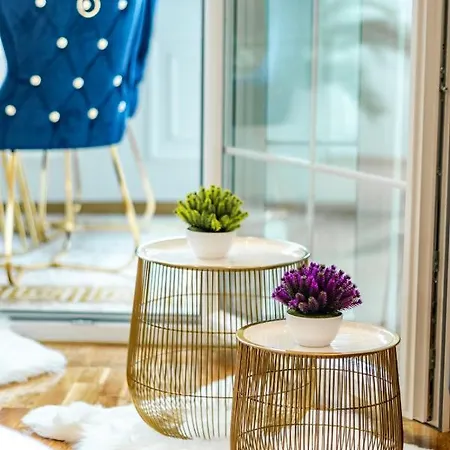 Luxury Karic Free Parking Apartment